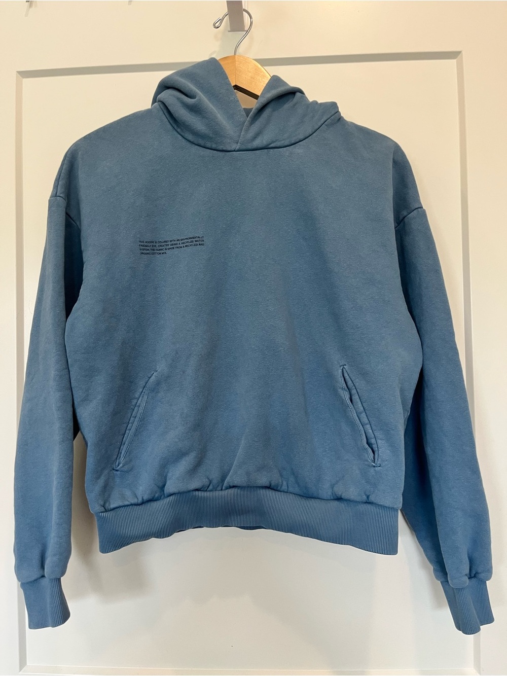 Pangaia Blue Color Thick Cotton Hoodie Athleisure Beachy Streetwear Oversized XS